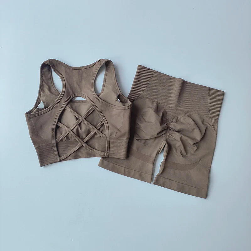 2-Piece Women's Seamless Yoga Set