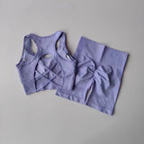 2-Piece Women's Seamless Yoga Set