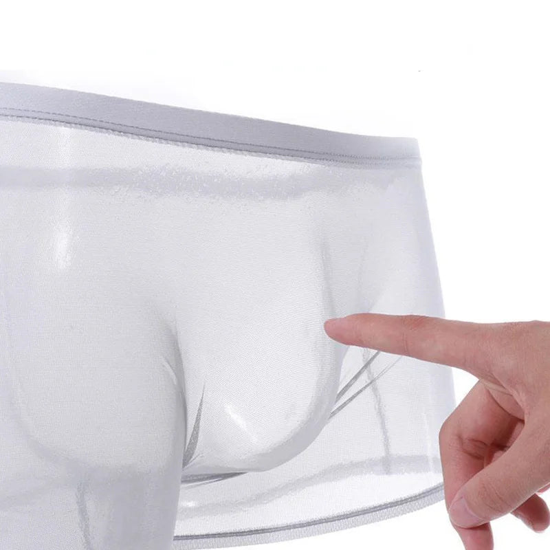 Men's Underwear Transparent Boxers Bulge Ice Silk See Through Underpants Sexy Briefs Low Waist Panties Lingerie Intimates 6