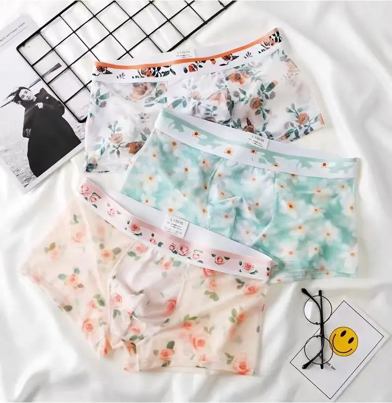 1pcs Sexy Mesh Boxer Men Underwear See Through Transparent Shorts Male Print Panties Plus Size Underpants U Convex Lingerie 6XL 2