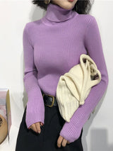 2024 Autumn Winter Thick Sweater Women Knitted Ribbed Pullover Sweater Long Sleeve Turtleneck Slim Jumper Soft Warm Pull Femme 16