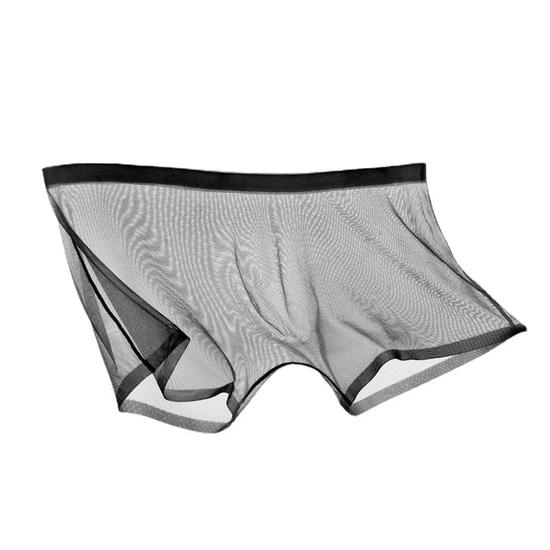 Men's Underwear Transparent Boxers Bulge Ice Silk See Through Underpants Sexy Briefs Low Waist Panties Lingerie Intimates 5
