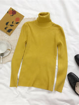2024 Autumn Winter Thick Sweater Women Knitted Ribbed Pullover Sweater Long Sleeve Turtleneck Slim Jumper Soft Warm Pull Femme 9