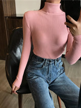 2024 Autumn Winter Thick Sweater Women Knitted Ribbed Pullover Sweater Long Sleeve Turtleneck Slim Jumper Soft Warm Pull Femme 18