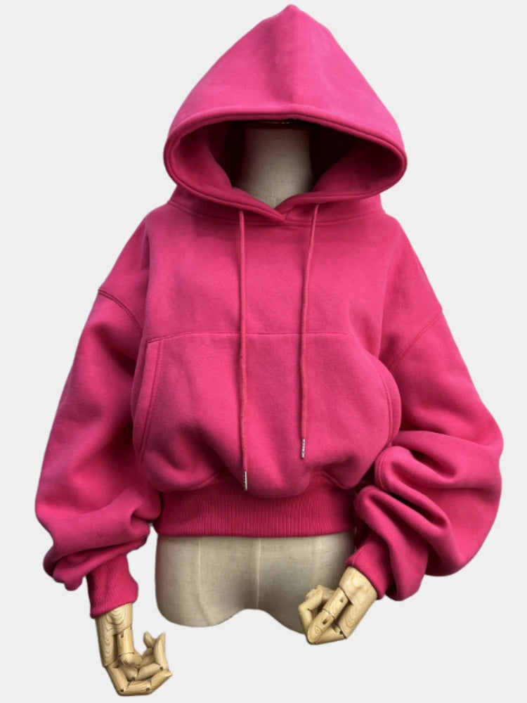 Hoodies Suit Winter Spring Solid Casual Tracksuit Women Fleece 2 Pieces Set Sports Sweatshirts Pullover Sweatpants Wholesale 24