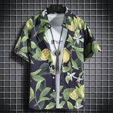 Hawaiian beach shirts Men's short-sleeved casual shirts 6