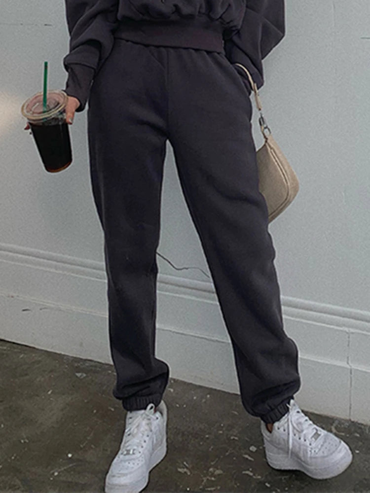 Hoodies Suit Winter Spring Solid Casual Tracksuit Women Fleece 2 Pieces Set Sports Sweatshirts Pullover Sweatpants Wholesale 19