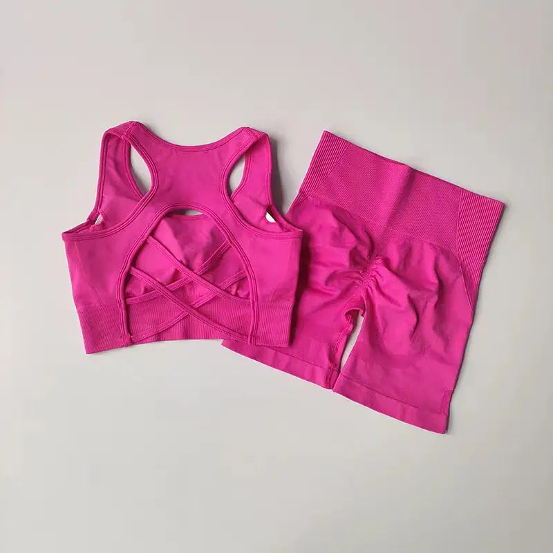 2-Piece Women's Seamless Yoga Set