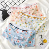 1pcs Sexy Mesh Boxer Men Underwear See Through Transparent Shorts Male Print Panties Plus Size Underpants U Convex Lingerie 6XL 3