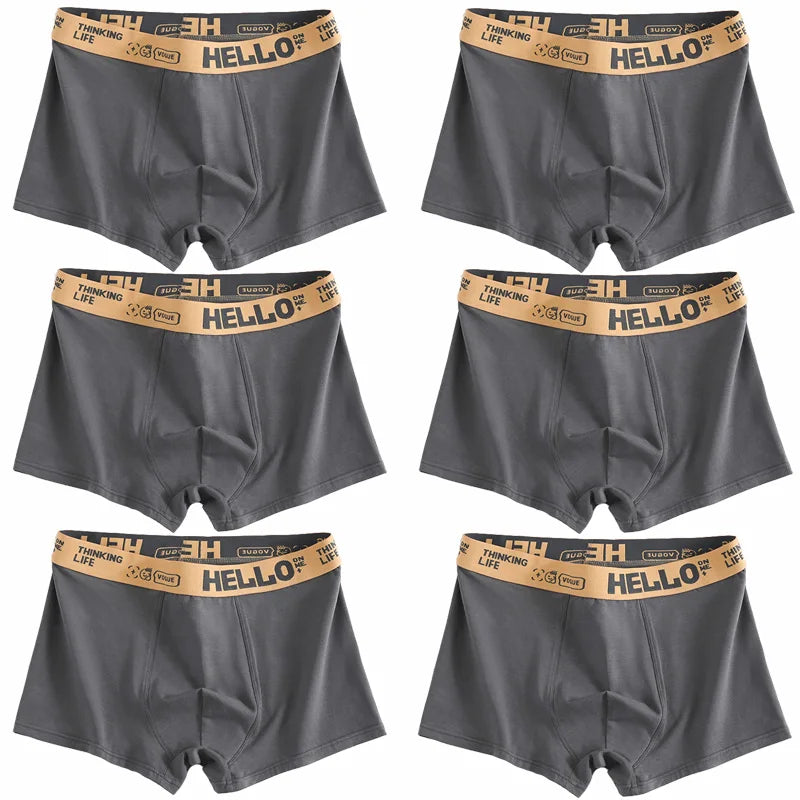 Men’s 6-Pack Premium Cotton Boxer Shorts