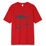 Great White Shark Anatomy T-Shirt New Summer Men Street Short Sleeve Hip Hop Punk Style Boy Casual Tops Fashion White Tees
