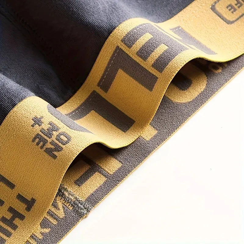 5Pcs Men's Underwear Summer Men Briefs Male Large Size XS-XL Boy Comfortable Solid Underpants Fungi-Proofing Men Panties 4