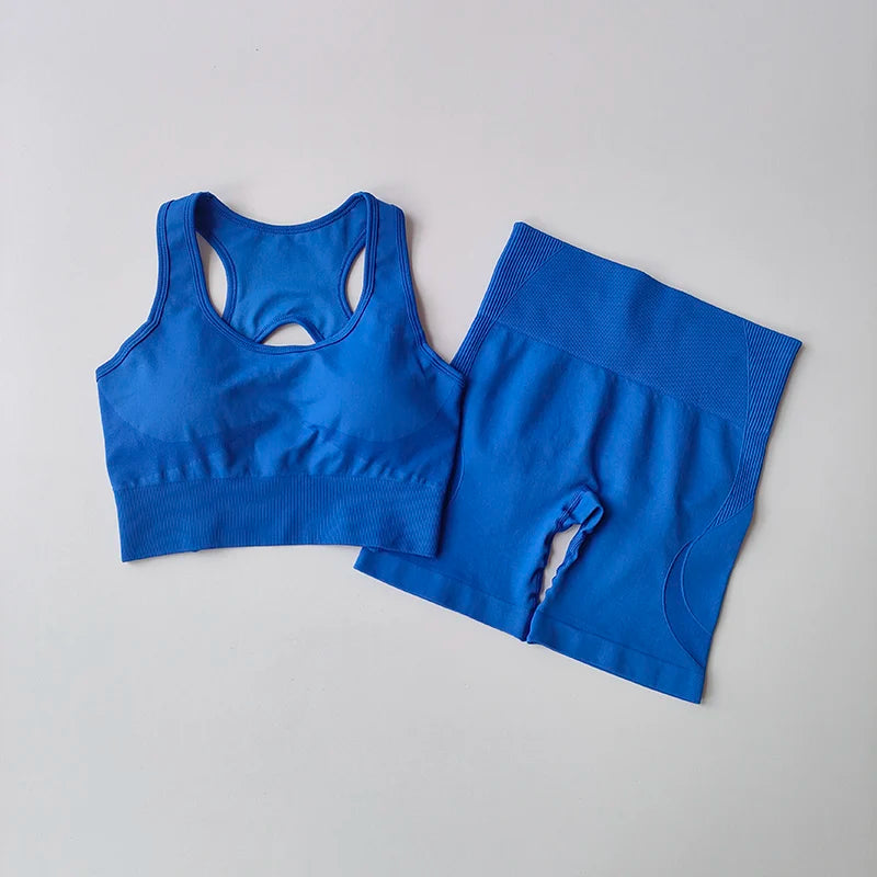 2-Piece Women's Seamless Yoga Set
