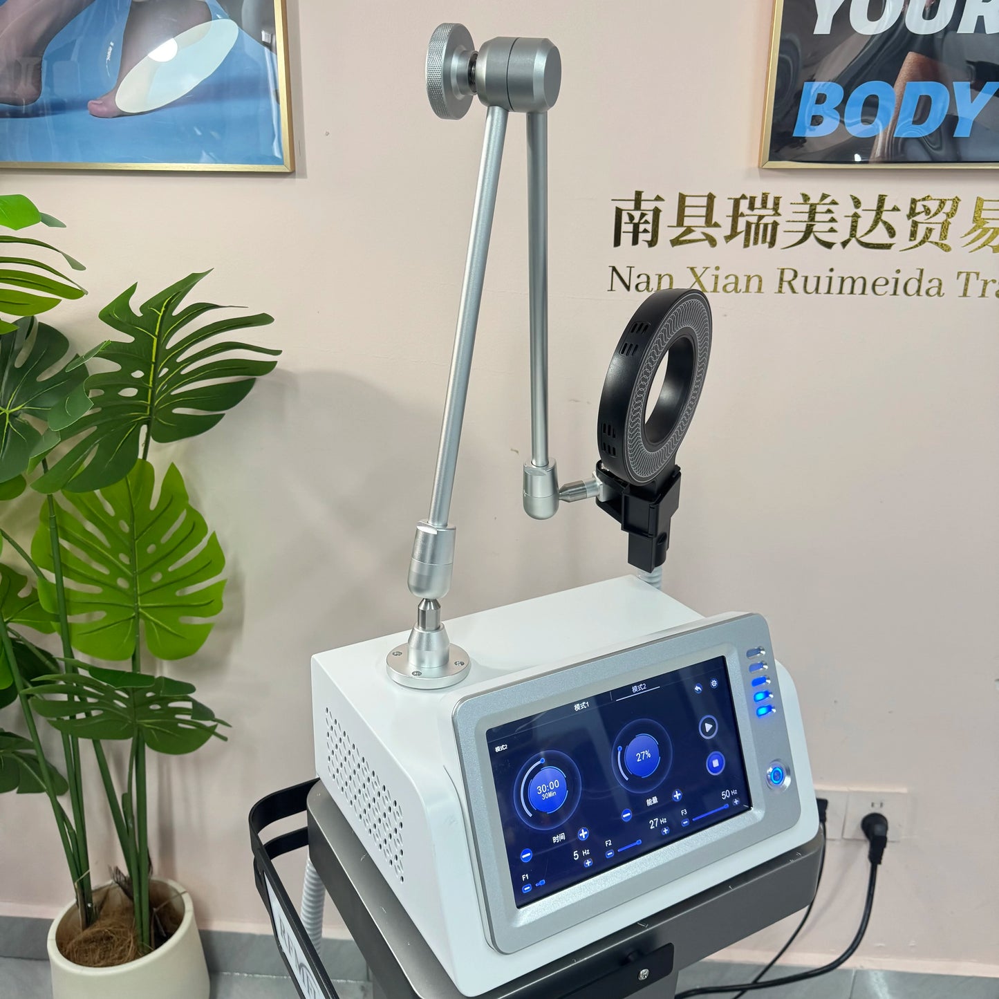Portable Emtt Physio Magneto Therapy Magnetoterapia Pain Relief PEMF Sports Injury Therapy Magnetotherapy Physiotherapy Machine