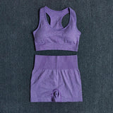 Seamless Performance Yoga & Gym Set