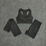 Seamless Performance Yoga & Gym Set