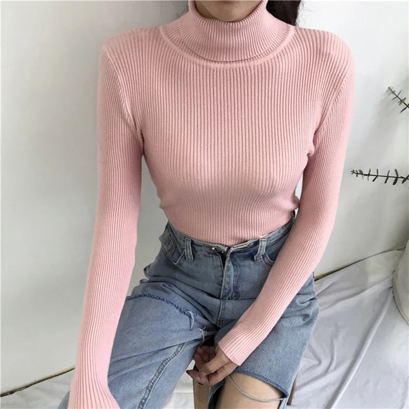 Women’s Ribbed Turtleneck Sweater