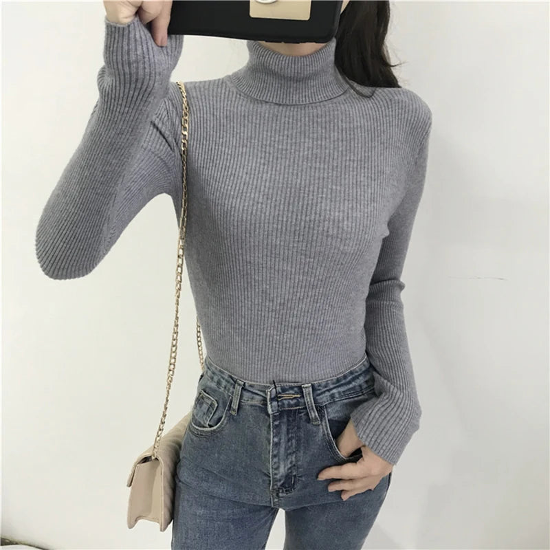 Women’s Ribbed Turtleneck Sweater