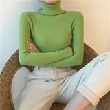 Women’s Ribbed Turtleneck Sweater
