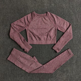 Seamless Performance Yoga & Gym Set