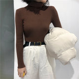 Women’s Ribbed Turtleneck Sweater