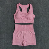 Seamless Performance Yoga & Gym Set