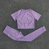 Seamless Performance Yoga & Gym Set