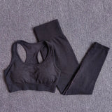 Seamless Performance Yoga & Gym Set