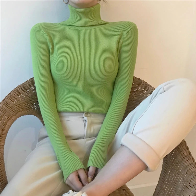 Women’s Ribbed Turtleneck Sweater