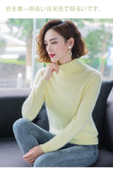 Women's Collared Knit Pullover Sweater