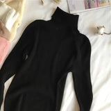Women’s Ribbed Turtleneck Sweater