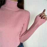 Women’s Ribbed Turtleneck Sweater