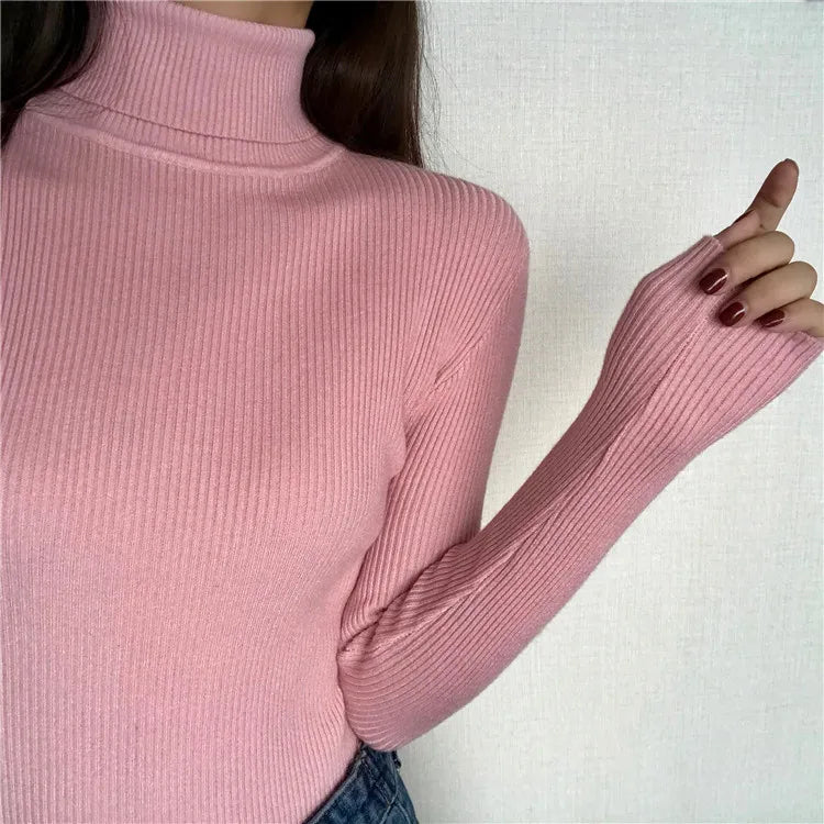 Women’s Ribbed Turtleneck Sweater