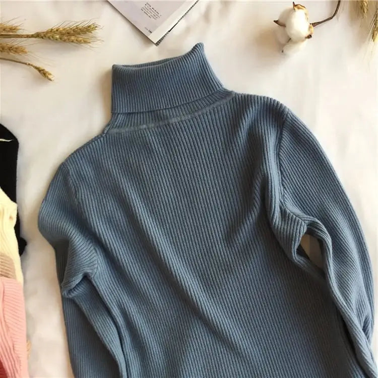 Women’s Ribbed Turtleneck Sweater