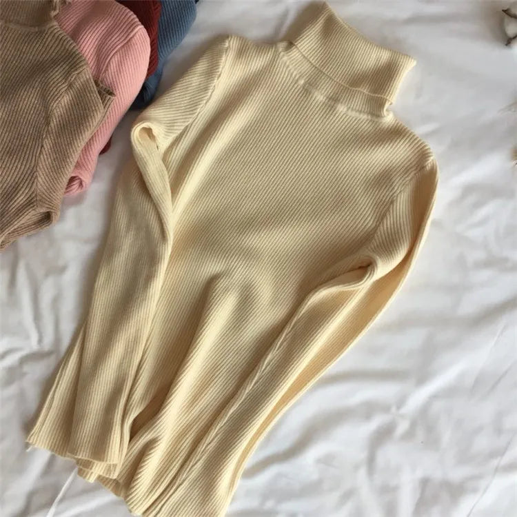Women’s Ribbed Turtleneck Sweater