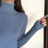 Women’s Ribbed Turtleneck Sweater