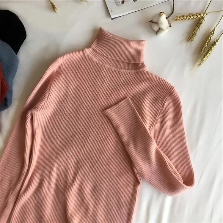 Women’s Ribbed Turtleneck Sweater