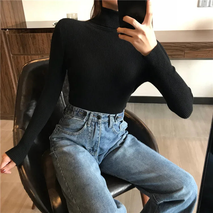 Women’s Ribbed Turtleneck Sweater