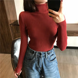 Women’s Ribbed Turtleneck Sweater