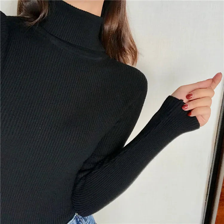 Women’s Ribbed Turtleneck Sweater