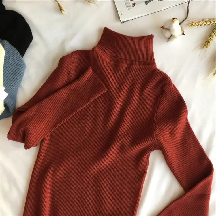Women’s Ribbed Turtleneck Sweater