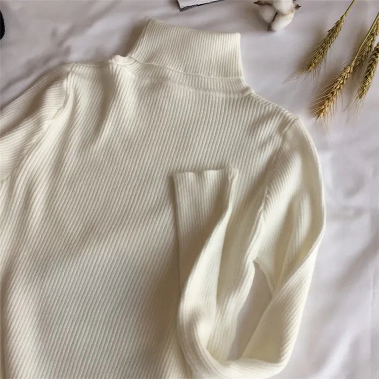 Women’s Ribbed Turtleneck Sweater