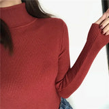 Women’s Ribbed Turtleneck Sweater