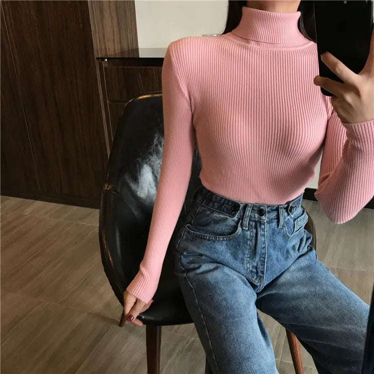 Women’s Ribbed Turtleneck Sweater