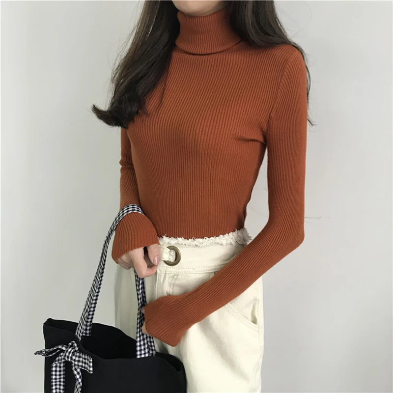 Women’s Ribbed Turtleneck Sweater