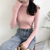 Women’s Ribbed Turtleneck Sweater