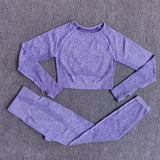 Seamless Performance Yoga & Gym Set