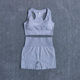 Seamless Performance Yoga & Gym Set