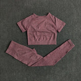Seamless Performance Yoga & Gym Set