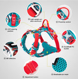 Truelove Dog Harness – Camo Reflective Nylon, All Breeds